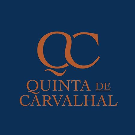 Quinta De Carvalhal - Casa Da Vinha Villa Guimarães Kültér fotó
