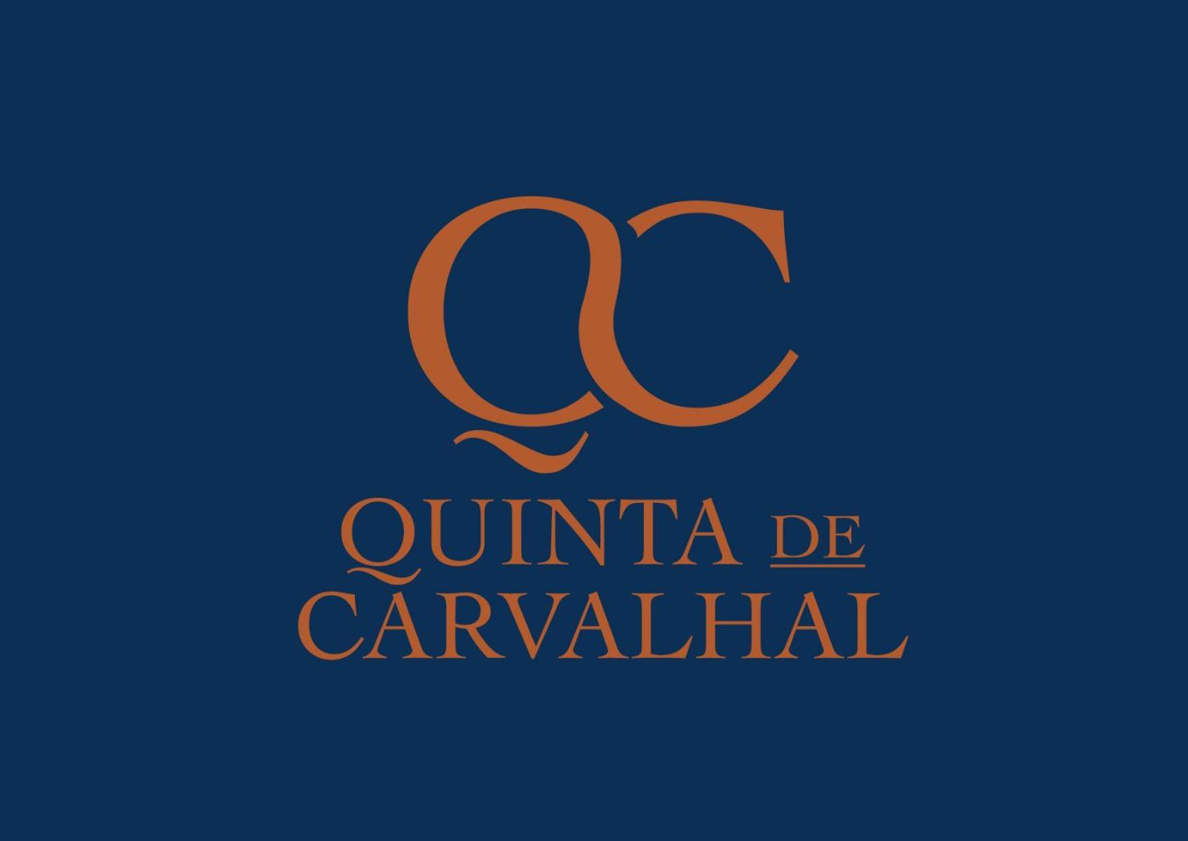 Quinta De Carvalhal - Casa Da Vinha Villa Guimarães Kültér fotó