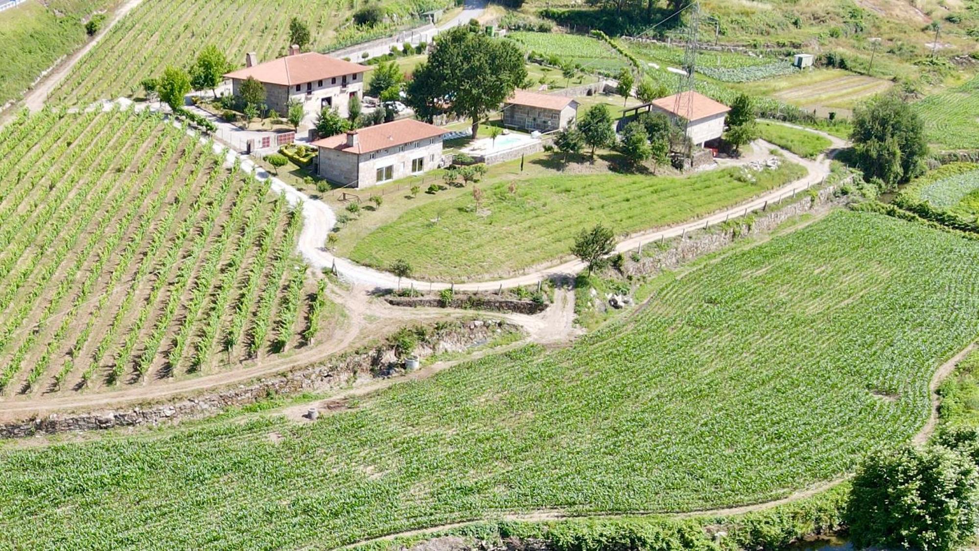 Quinta De Carvalhal - Casa Da Vinha Villa Guimarães Kültér fotó